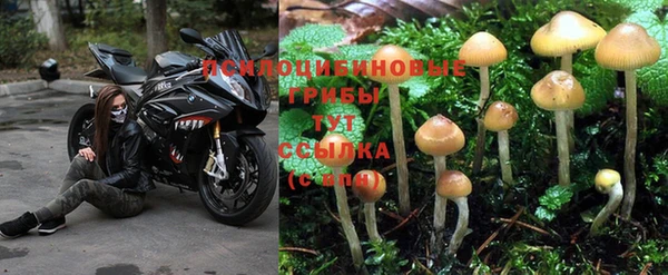 мет Алзамай