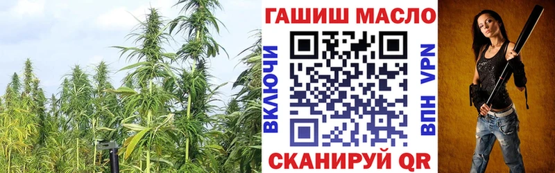 Дистиллят ТГК THC oil  Орехово-Зуево 